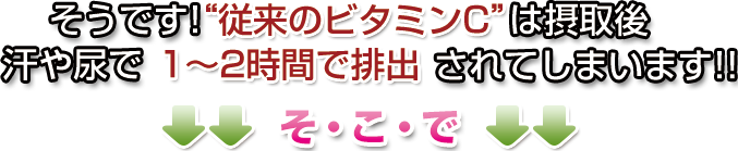 ]̃r^~CTv1`2ԂŔro