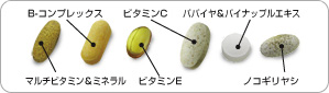 マルチビタミン＆ミネラル、B-コンプレックス、ビタミンE、ビタミンC、パパイヤ＆パイナップルエキス、ノコギリヤシ