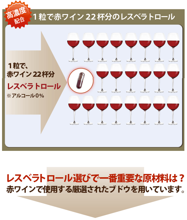 【高濃度配合】1粒で赤ワイン22杯分のレスベラトロール