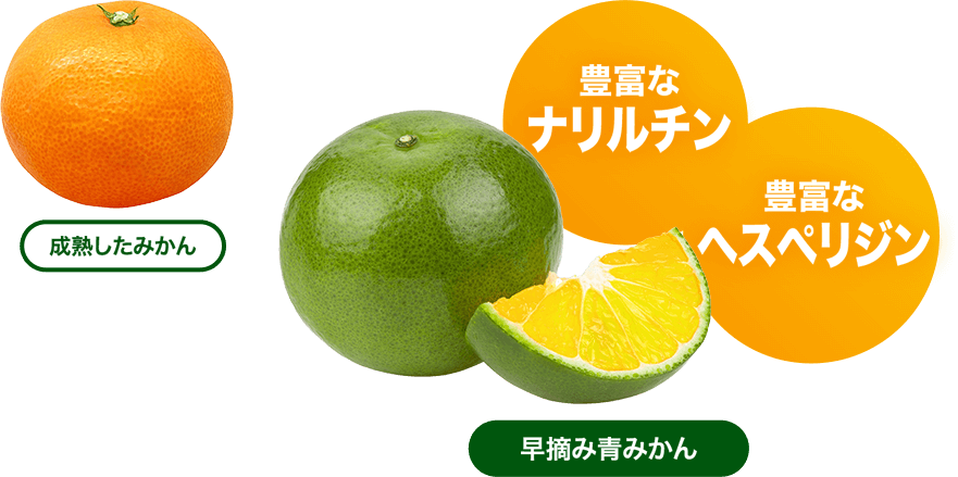 さらに、季節の変化の強い味方「早摘み青みかん」を配合