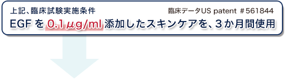 ノーベル賞を受賞したEGFは新しい若い細胞づくりにアプローチ
