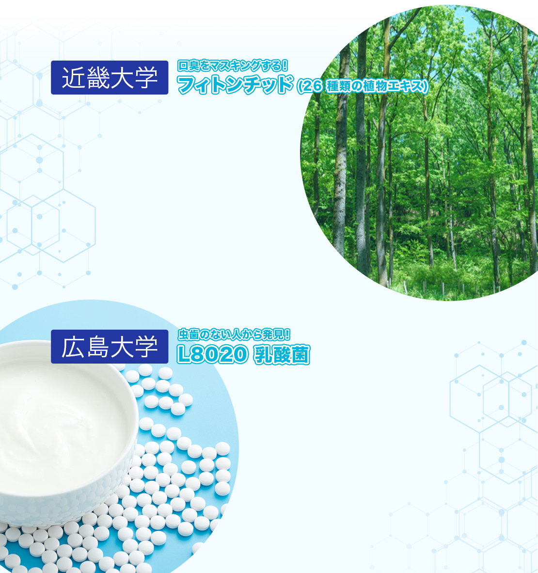 広島大学 虫歯のない人から発見！L8020 乳酸菌　近畿大学 口臭をマスキングする！フィトンチッド（26種類の植物エキス）
