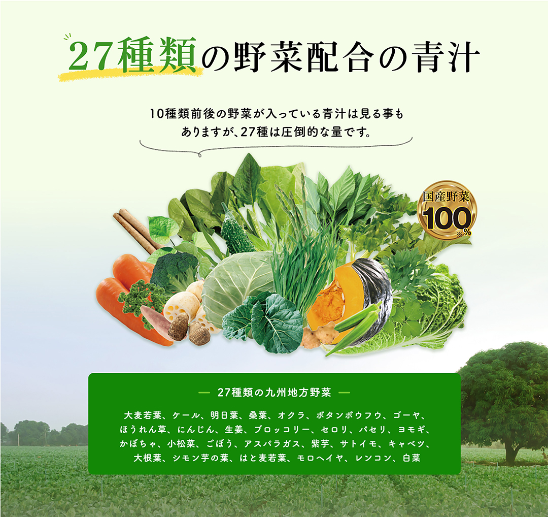 27種類の野菜配合の青汁 10種類前後の野菜が入っている青汁は見る事もありますが、27種は圧倒的な量です。【27種類の九州地方野菜】大麦若葉、ケール、明日葉、桑葉、オクラ、ボタンボウフウ、ゴーヤ、ほうれん草、にんじん、生姜、ブロッコリー、セロリ、パセリ、ヨモギ、かぼちゃ、小松菜、ごぼう、アスパラガス、紫芋、サトイモ、キャベツ、大根葉、シモン芋の葉、はと麦若葉、モロヘイヤ、レンコン、白菜