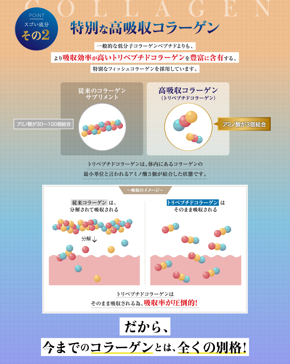 一般的な低分子コラーゲンペプチドよりも吸収効率が高い、特別なフィッシュコラーゲンを採用しています。