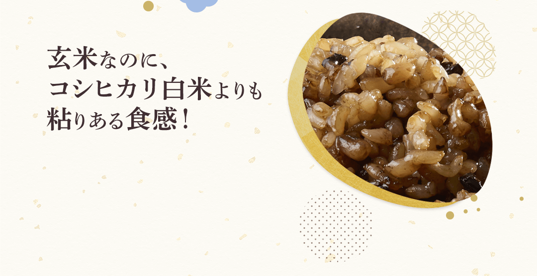 「金のいぶき」と「白米」の栄養素比較