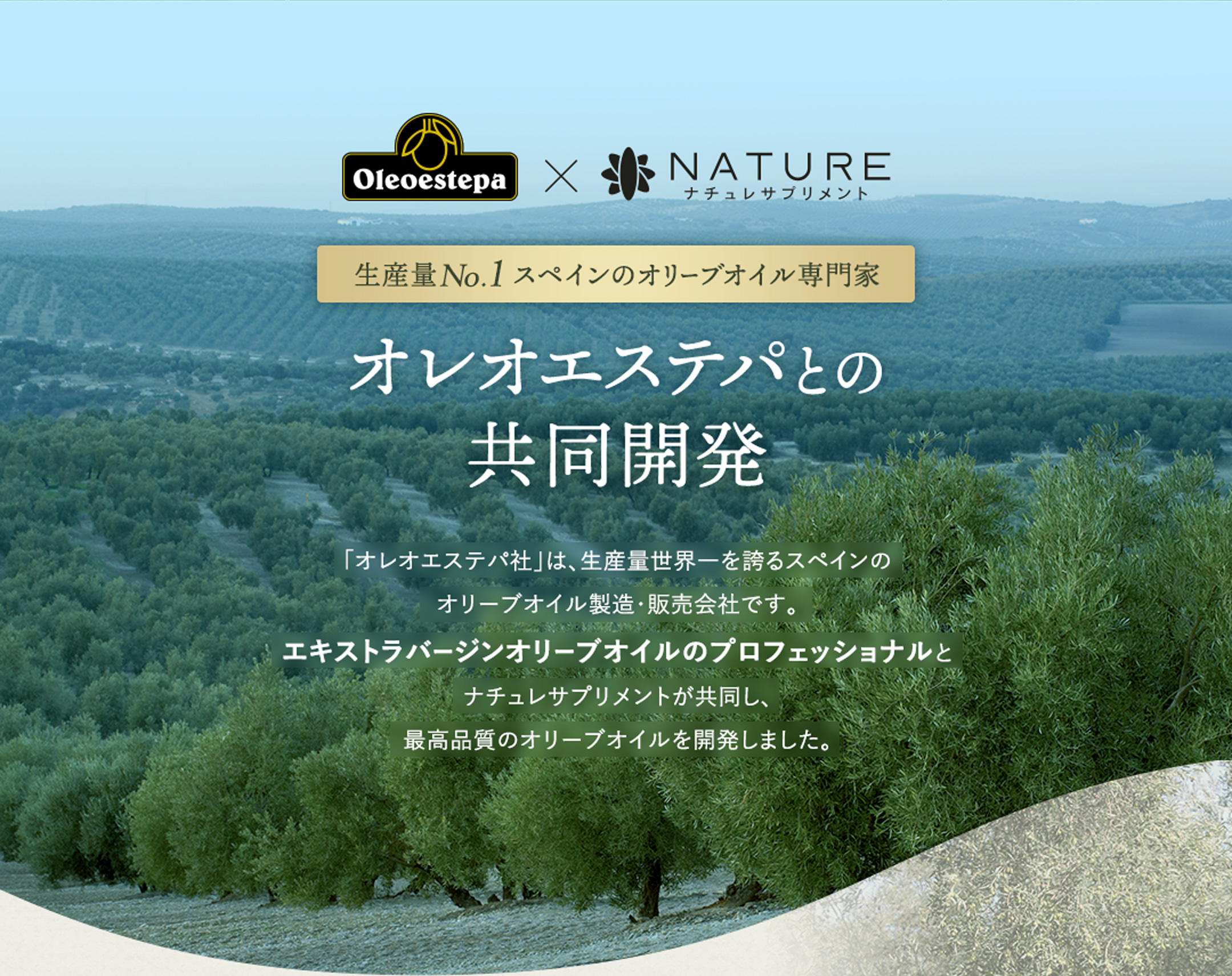 エキストラバージンオリーブオイルのプロフェッショナル「オレオエステパ」との共同開発。