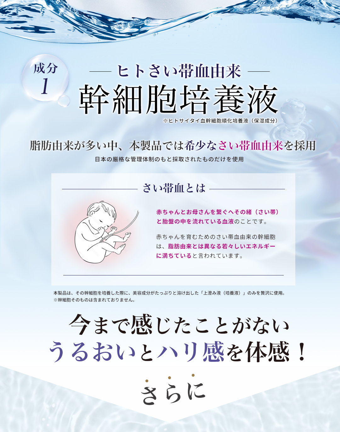 ヒトさい帯血由来 幹細胞培養液