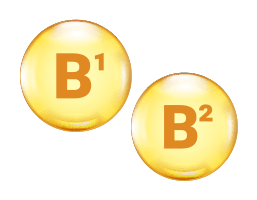 活性型ビタミンB1・B2